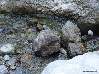 stoleone-09-08-2020 09